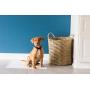 Petmate Little Stinker Housebreaking Pads 6-Layer Liquid Lock Varying Multi-packs Available