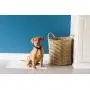 Petmate Little Stinker Housebreaking Pads 6-Layer Liquid Lock Varying Multi-packs Available Petmate Little Stinker Housebreaking Pads 6-Layer Liquid Lock Varying Multi-packs Available