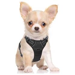 rabbitgoo Dog Harness, No-Pull Pet Harness with 2 Leash Clips, Adjustable Soft Padded Dog Vest, Reflective No-Choke Pet Oxford Vest with Easy Control Handle for Small Dogs, Black, S