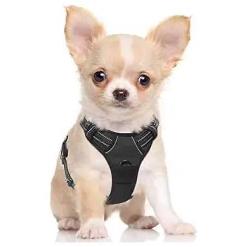 rabbitgoo Dog Harness, No-Pull Pet Harness with 2 Leash Clips, Adjustable Soft Padded Dog Vest, Reflective No-Choke Pet Oxford Vest with Easy Control Handle for Small Dogs, Black, S rabbitgoo Dog Harness, No-Pull Pet Harness with 2 Leash Clips, Adjustable Soft Padded Dog Vest, Reflective No-Choke Pet Oxford Vest with Easy Control Handle for Small Dogs, Black, S