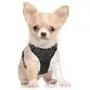 rabbitgoo Dog Harness, No-Pull Pet Harness with 2 Leash Clips, Adjustable Soft Padded Dog Vest, Reflective No-Choke Pet Oxford Vest with Easy Control Handle for Small Dogs, Black, S rabbitgoo Dog Harness, No-Pull Pet Harness with 2 Leash Clips, Adjustable Soft Padded Dog Vest, Reflective No-Choke Pet Oxford Vest with Easy Control Handle for Small Dogs, Black, S