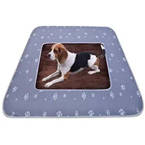 Washable & Absorbent Pet Pee Pad and Non-Slip Premium Pee Pads for Dogs(2 Pack), Waterproof Puppy Training Pads Reusable Dog Splat Floor Mat for Potty Training, Travel