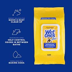 Wet Ones for Pets Deodorizing Multi-Purpose Dog Wipes with Baking Soda | Dog Deodorizing Wipes for All Dogs in Tropical Splash Scent, Wet Ones Wipes for Deodorizing Dogs| 100 Ct Pouch Dog Wipes