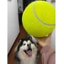 Apofly 1PC Tennis Balls Dog Balls, Dog Tennis Balls Dog Puppy Thrower Chucker Toy Ball Sport Play for Lessons Practice Throwing Machines