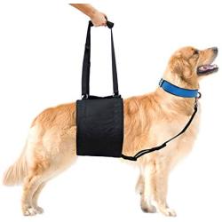 Downtown Pet Supply Innovative Dog Walking Lift Harness Sling, Great Support for Elder and Injured Dogs - Lightweight with Security Clip, for Medium and Large Dogs