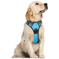 rabbitgoo Dog Harness, No-Pull Pet Harness with 2 Leash Clips, Adjustable Soft Padded Dog Vest, Reflective No-Choke Pet Oxford Vest with Easy Control Handle for Large Dogs, Blue (L, Chest 20.5-36'')