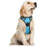 rabbitgoo Dog Harness, No-Pull Pet Harness with 2 Leash Clips, Adjustable Soft Padded Dog Vest, Reflective No-Choke Pet Oxford Vest with Easy Control Handle for Large Dogs, Blue (L, Chest 20.5-36'')