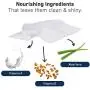 International Veterinary Sciences IVS Quick Bath Pet Towelettes, Removes Odor, Extra Thick and Heavy Duty, Made in The USA