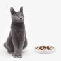 WANTRYAPET Dog Feeder Slow Bowl + Non-Slip Dog Bowl Mats, Ceramic Fun Slow Feed Interactive Bloat Stop Dog Bowl, Eco-Friendly Durable Preventing Choking Healthy Design Bowl
