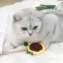 ocijf179 Cat Toy Pet Cat Kitten Wood Handle Stick Sunflower Catnip Teaser Interactive Chew Toy - Sunflower ocijf179 Cat Toy Pet Cat Kitten Wood Handle Stick Sunflower Catnip Teaser Interactive Chew Toy - Sunflower