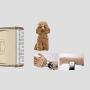 CLL Dog Clipper, Cordless Quiet Pet Hair Clipper Rechargeable Pet Electric Hair Beauty Tool Suitable for Dogs and Other Animals, 3H Working Time, Gold 1