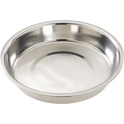Ethical 10-Inch Stainless Steel Puppy Dish