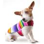 Handmade Dog Poncho from Mexican Serape Blanket - Dog Clothes - Coat - Costume - Sweater - Vest