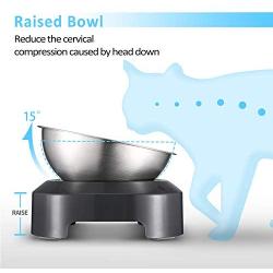 Elevated Cat Bowl, Cat and Small Dog Food Bowl Stand, 15° Tilted Raised Cat Food and Water Bowls, Stainless Steel Cat Food Bowls, Non Slip No Spill, Healthy Eating Posture and Ergonomics for Pets