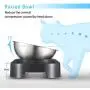 Elevated Cat Bowl, Cat and Small Dog Food Bowl Stand, 15° Tilted Raised Cat Food and Water Bowls, Stainless Steel Cat Food Bowls, Non Slip No Spill, Healthy Eating Posture and Ergonomics for Pets Elevated Cat Bowl, Cat and Small Dog Food Bowl Stand, 15° Tilted Raised Cat Food and Water Bowls, Stainless Steel Cat Food Bowls, Non Slip No Spill, Healthy Eating Posture and Ergonomics for Pets