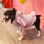 Dog Costumes,Cat Costumes,Cat Clothes,Cat Halloween Costumes,Winter Costumes,Rabbit Cosplay Winter Costume to Make Your Pet Look Cute.