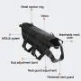 GPFDM Tactical Dog Training Molle Vest Harness, Nylon Waterproof Dog Vest Harness, Tactical Dog Training Vest Harness - Coat for Dog,Black,S GPFDM Tactical Dog Training Molle Vest Harness, Nylon Waterproof Dog Vest Harness, Tactical Dog Training Vest Harness - Coat for Dog,Black,S