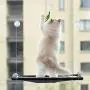 Ropipala Cat Hammock, Washable Cat Window Perch & Sleeping Pad, Cat beds Indoor Hammock for Pets, 360°Sunbath Window, Pet Resting Seat Safety Cat Shelves, Refer to The Installation Tutorial Ropipala Cat Hammock, Washable Cat Window Perch & Sleeping Pad, Cat beds Indoor Hammock for Pets, 360°Sunbath Window, Pet Resting Seat Safety Cat Shelves, Refer to The Installation Tutorial