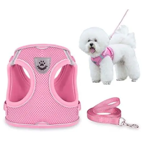 Dog Harness and Leash Set for Walking, Escape Proof Vest Harness with Soft Mesh, Adjustable Velcro, Reflective Strips for Kitten Cats and Puppy Dogs Dog Harness and Leash Set for Walking, Escape Proof Vest Harness with Soft Mesh, Adjustable Velcro, Reflective Strips for Kitten Cats and Puppy Dogs