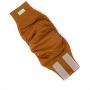 Dr. Judy Morgans Naturally Healthy Pets Washable Male Dog Diaper Belly Band wrap Solid Colors Dr. Judy Morgans Naturally Healthy Pets Washable Male Dog Diaper Belly Band wrap Solid Colors