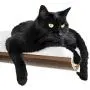 Akemi Tanaka Curve Modern Bentwood Wall-Mounted Cat Perch Cat Window Seat Cat Shelf Akemi Tanaka Curve Modern Bentwood Wall-Mounted Cat Perch Cat Window Seat Cat Shelf