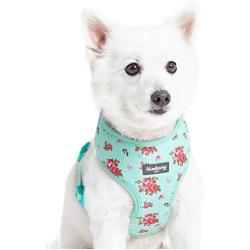 Blueberry Pet 2021 New 3 Patterns Soft & Comfy Spring Scent Inspired Floral Dog Harness Vests