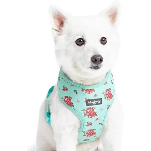 Blueberry Pet 2021 New 3 Patterns Soft & Comfy Spring Scent Inspired Floral Dog Harness Vests Blueberry Pet 2021 New 3 Patterns Soft & Comfy Spring Scent Inspired Floral Dog Harness Vests