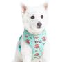 Blueberry Pet 2021 New 3 Patterns Soft & Comfy Spring Scent Inspired Floral Dog Harness Vests