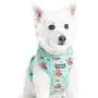 Blueberry Pet 2021 New 3 Patterns Soft & Comfy Spring Scent Inspired Floral Dog Harness Vests Blueberry Pet 2021 New 3 Patterns Soft & Comfy Spring Scent Inspired Floral Dog Harness Vests