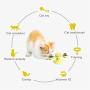 PICKME 3 in 1 Multifunctional Cat Toy Windmill Cat Toy Turntable Teasing Cat Toy Scratching Cat Hair Brush Cat Tooth Brush with Titanium Pet,2Pack