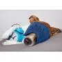 Comfort & Relax Shredded Memory Foam Waterproof Pet Bed for Extra Large Dogs Over 70bls