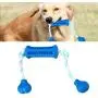 CHZHENG Dogs Toothbrush, Pet Tooth Care Tooth Cleaner Brushing Stick Trainging Molar Dental Oral Care Chew Toy for Small Medium Dog Pets,Green CHZHENG Dogs Toothbrush, Pet Tooth Care Tooth Cleaner Brushing Stick Trainging Molar Dental Oral Care Chew Toy for Small Medium Dog Pets,Green