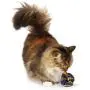 Zanies Giant Mylar Balls Cat Toys, 16-Piece Canisters Zanies Giant Mylar Balls Cat Toys, 16-Piece Canisters