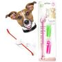 Dog Tooth Brushing Toys with Beef Taste Cat Toothpaste for Dogs, Dog Toothbrush Set -1 Long Brush & 1 Finger Toothbrush for Small Dogs, 3 in 1, Dog Chew Toys
