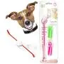 Dog Tooth Brushing Toys with Beef Taste Cat Toothpaste for Dogs, Dog Toothbrush Set -1 Long Brush & 1 Finger Toothbrush for Small Dogs, 3 in 1, Dog Chew Toys