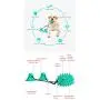 Molauna Dog Toy Toothbrush Stick Rubber Bite Resistant Chewers Cactus Chew Sticks for Dogs Pets with 1 2 Sucker Molauna Dog Toy Toothbrush Stick Rubber Bite Resistant Chewers Cactus Chew Sticks for Dogs Pets with 1 2 Sucker