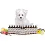 Sofee & Co. Natural Dog Puppy Shampoo - Clean Moisturize Deodorize Detangle Soothe Soften Normal Dry Itchy Flaky Allergy Sensitive Skin. Prevent Mattes. 16 oz