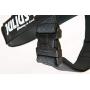 Julius-K9 IDC Color & Gray Belt Harness for Dogs