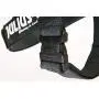 Julius-K9 IDC Color & Gray Belt Harness for Dogs
