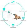 Dog Chew Toy Double Suction Cup Dog Toy, Strong Dog Rope Toy, Interactive Dog Puzzle Toy Multifunction Molar Bite Tug of War Puppy Toy for Small Dogs, Dog Toothbrush Toy (Blue)