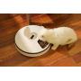 Automatic Pet Feeder for Cats and Dogs - Dry or Wet Food Dispenser - 6 Meal Trays with Portion Control -LCD Smart Programmable Clock