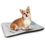DayDayFun Zodiac Aquarius Pet Training Mat Little Astrology Girl with a Bucket Birthday Horoscope Character Housebreaking Absorption Pads Cinnamon Pale Blue