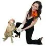 Groovy Glove Dog Paw Cleaning Glove Groovy Glove Dog Paw Cleaning Glove