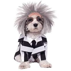 Beetlejuice Pet Costume