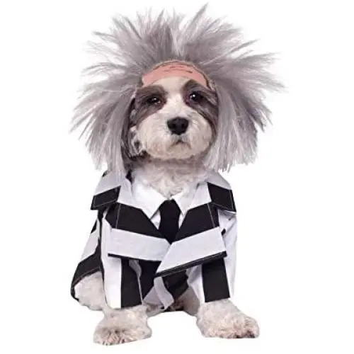 Beetlejuice Pet Costume