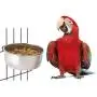 BWOGUE Bird Parrot Feeding Cups with Clamp Stainless Steel Food Water Bowls Dish Feeder for Cockatiel Conure Budgies Parakeet Parrot Macaw Small Animal Chinchilla BWOGUE Bird Parrot Feeding Cups with Clamp Stainless Steel Food Water Bowls Dish Feeder for Cockatiel Conure Budgies Parakeet Parrot Macaw Small Animal Chinchilla