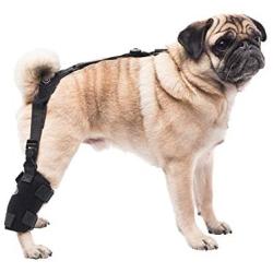 Caldera PET106 Pet Therapy Universal Wrap Tarsal/Stifle with Gel, Small, Black