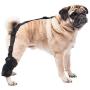 Caldera PET106 Pet Therapy Universal Wrap Tarsal/Stifle with Gel, Small, Black