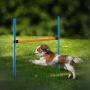 CHEERING PET Dog Agility Equipment, 28 Piece Dog Obstacle Course for Training and Interactive Play Includes Dog Agility Tunnel, Adjustable Hurdles, Poles, Whistle, Rope Toy with Carrying Case