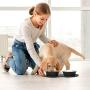 MyAvenue-Dog Food Bowls & Cat Bowls Non Skid, Stainless Steel Dog Bowls Medium Sized Dogs with Non Slip Dog Dish Silicone Mat & Collapsible Dog Bowl Set